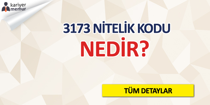3173 Nitelik Kodu Nedir, 3173 Nitelik Kodu Ne Anlama Geliyor?