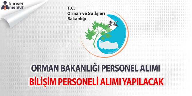 Orman ve Su İşleri Bakanlığı Bilişim Personeli Alacak