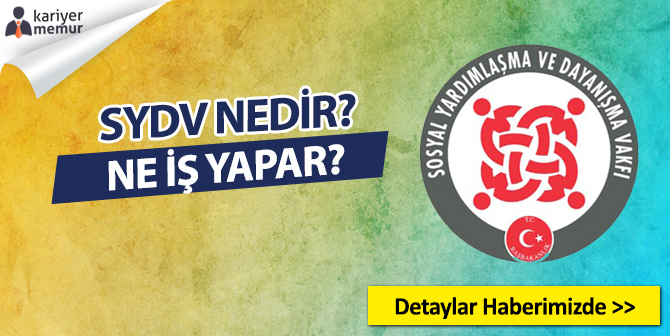 SYDV Nedir? Ne İşe Yarar?