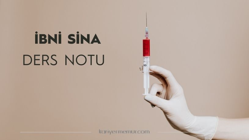 İbni Sina Hayatı ve Eserleri