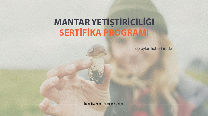 Mantar Yetiştiriciliği Eğitimi Sertifika Programı