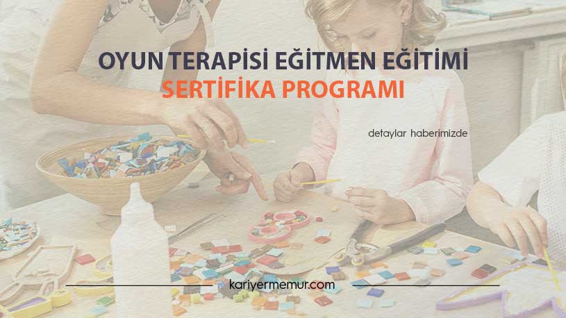 Oyun Terapisi Eğitmen Eğitimi Sertifika Programı