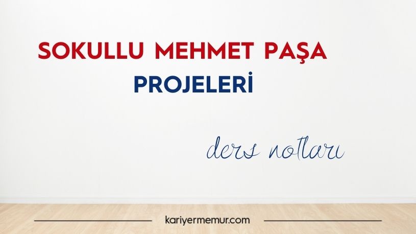 Sokullu Mehmet Paşa Projeleri