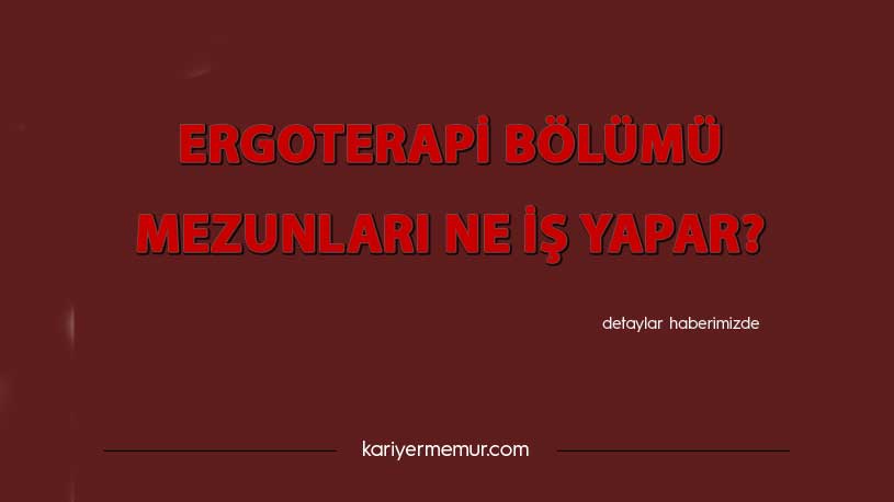 Ergoterapi Bölümü Mezunları Ne İş Yapar?