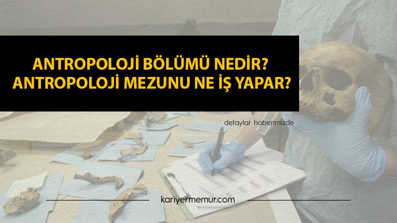 Antropoloji Bölümü Nedir? Antropoloji Mezunu Ne İş Yapar?