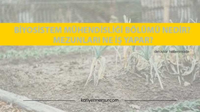 Biyosistem Mühendisliği Bölümü Nedir? Mezunları Ne İş Yapar?