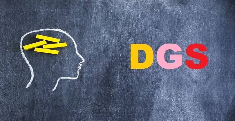 2020 DGS İlahiyat Taban Puanları Nedir? Kaçta Kaldı?