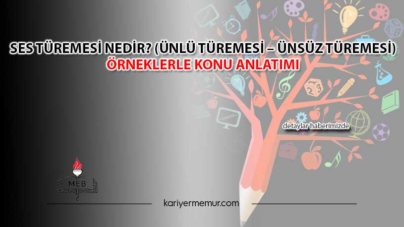 Ses Türemesi Nedir? (Ünlü Türemesi – Ünsüz Türemesi) Örneklerle Konu Anlatımı
