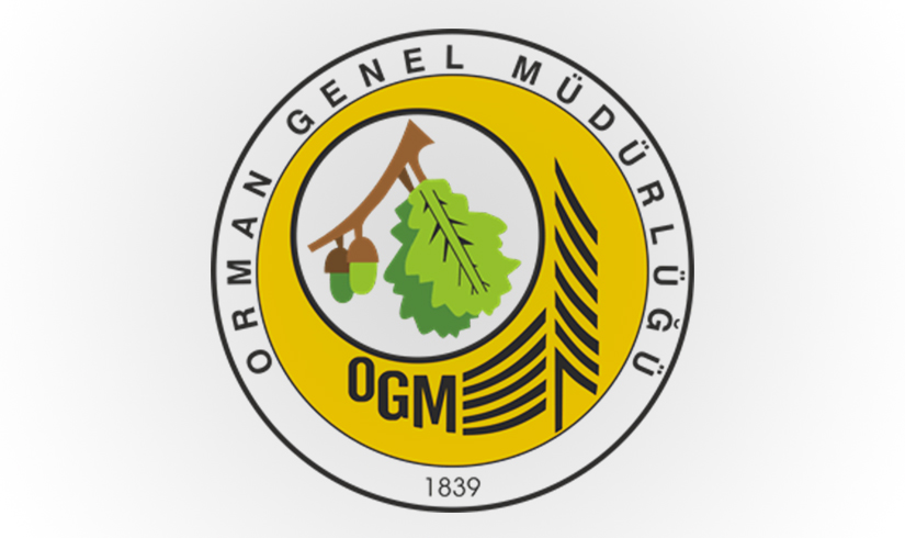 Orman Genel Müdürlüğü 249 Orman Mühendisi Alacak