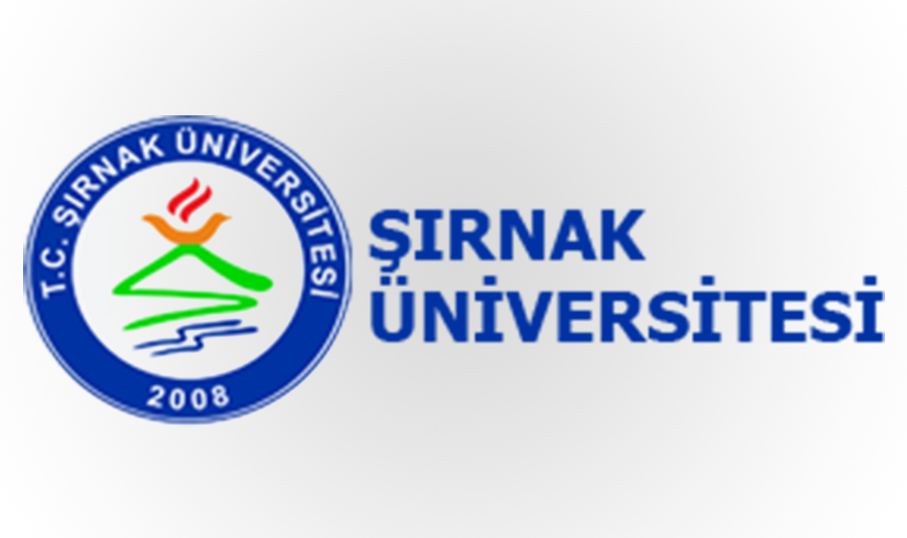 Şırnak Üniversitesi 5 Öğretim Üyesi Alıyor