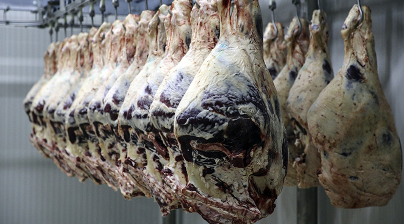 Kırmızı Ete İndirim Yolda