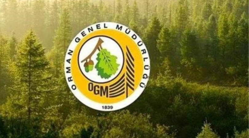 Orman Genel Müdürlüğü – 150 Adet Sözleşmeli Mühendis Alıyor! Haberimizde…
