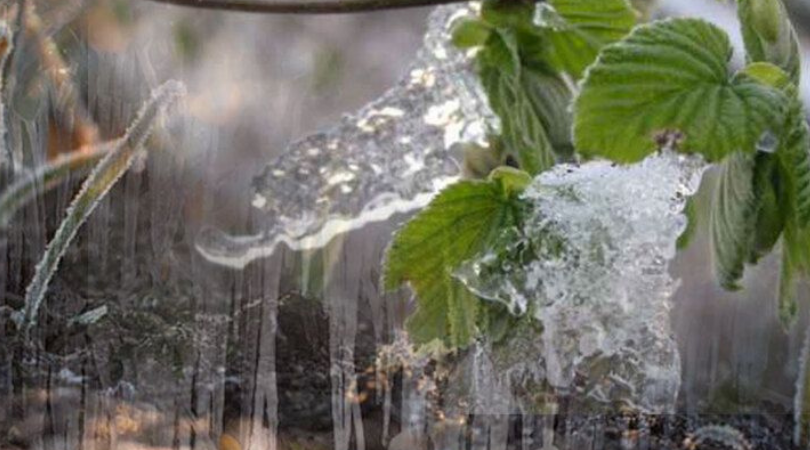 Türkiye Dondu: Kayısı, Fındık, Üzüm, Elma… Hangi Şehir Ne Kadar Etkilendi?