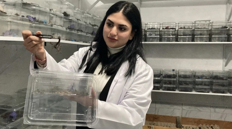 Zehriyle Yaşıyor: Zilan ve 3 Bin Akrebin Sıra Dışı Hikâyesi!